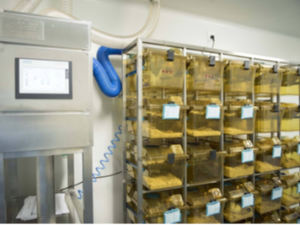 動物實驗室設計裝修