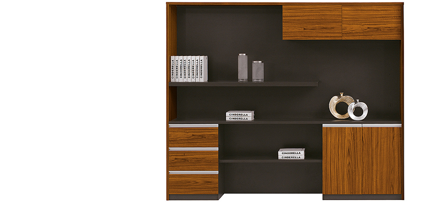 現(xiàn)代時(shí)尚辦公實(shí)木文件柜